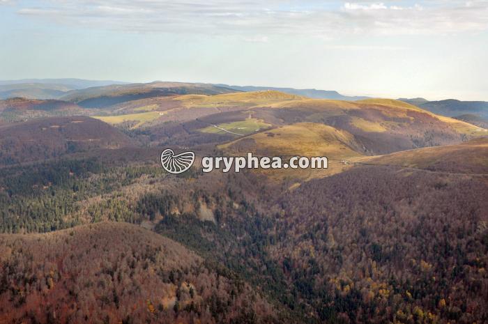 Relief granitique érodé (Vosges) - gryphea.com